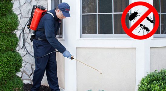 Borçka Hamam Böceği İlaçlama böcek ilaçlama ve haşere kontrolü — ilaclama-tr.com